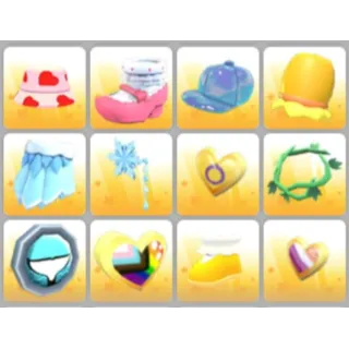 BUNDLE PET WEAR X12