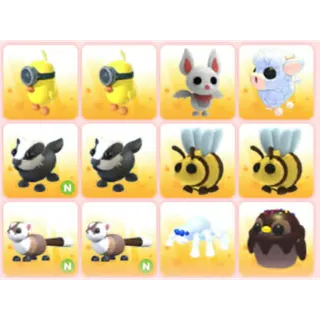 BUNDLE PET X12