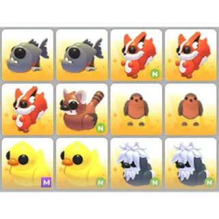 BUNDLE PET X12
