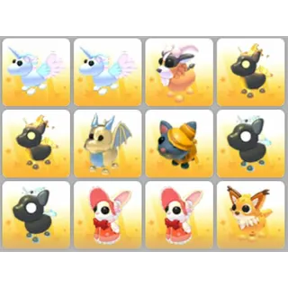 BUNDLE PET X12