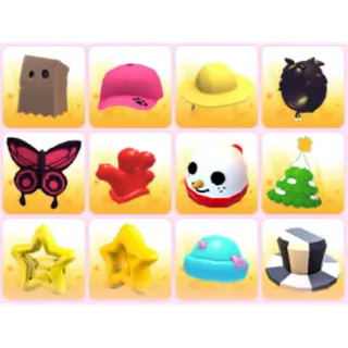 BUNDLE PET WEAR X12