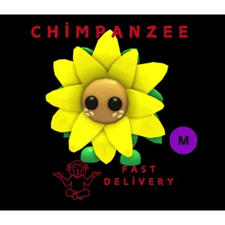 Mega Sunflower Friend