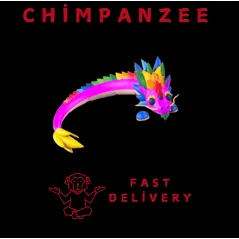 RAINBOW DRAGON