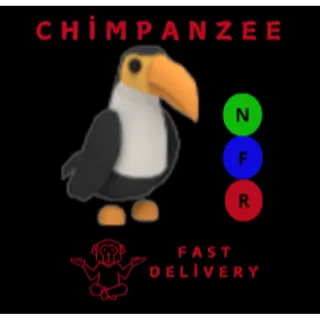 TOUCAN NFR