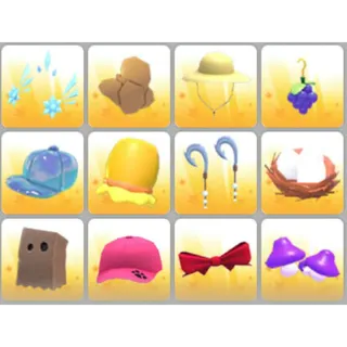 BUNDLE PET WEAR X12
