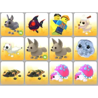 BUNDLE PET X12