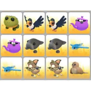 BUNDLE PET X12