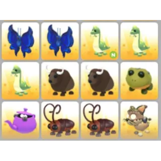 BUNDLE PET X12