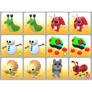 BUNDLE PET X12