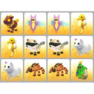 BUNDLE PET X12