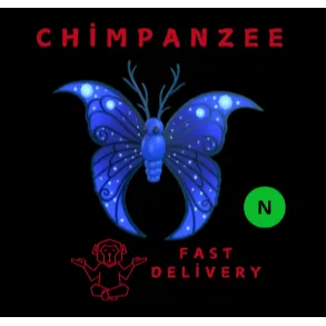 Moonbeam Butterfly NEON