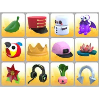 BUNDLE PET WEAR X12