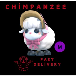 LITTLE LAMB MEGA