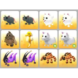 BUNDLE PET X12