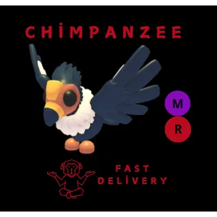 CALIFORNIA CONDOR MR