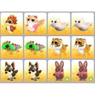 BUNDLE PET X12