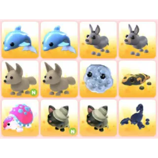 BUNDLE PET X12