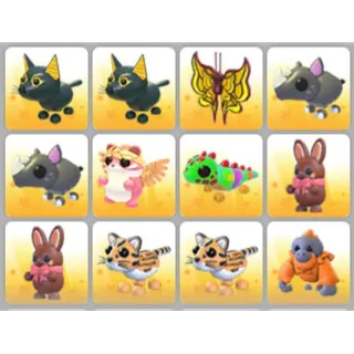 BUNDLE PET X12