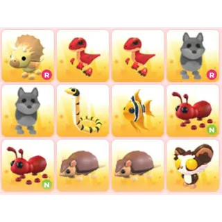 BUNDLE PET X12