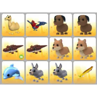 BUNDLE PET X12