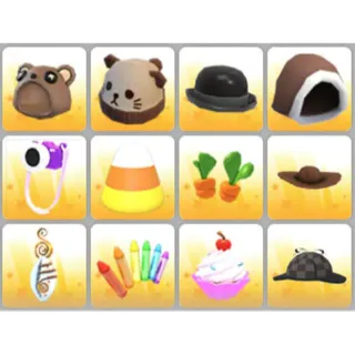 BUNDLE PET WEAR X12