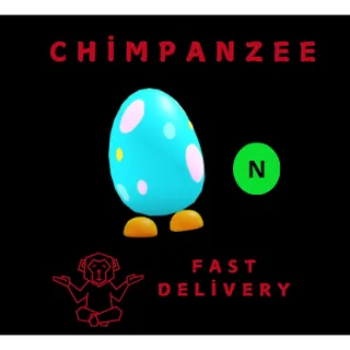 Dotted Eggy NEON