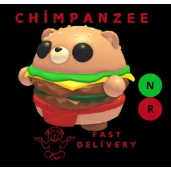 BURGER BEAR NR