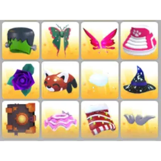 BUNDLE PET WEAR X12