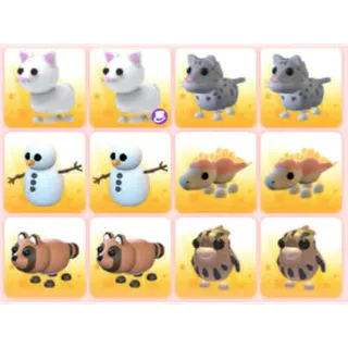 BUNDLE PET X12