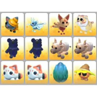BUNDLE PET X12