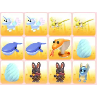 BUNDLE PET X12