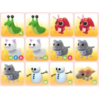 BUNDLE PET X12