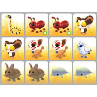 BUNDLE PET X12