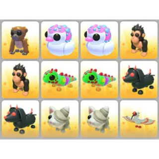 BUNDLE PET X12