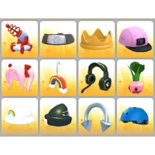 BUNDLE PET WEAR X12