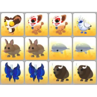 BUNDLE PET X12