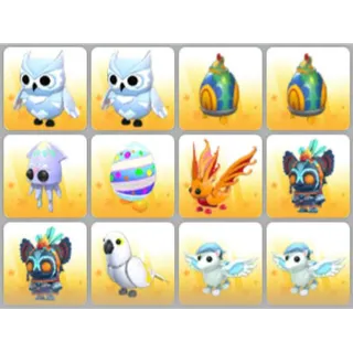 BUNDLE PET X12