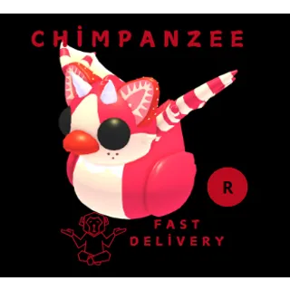 STRAWBERRY SHORTCAKE DUCKY R