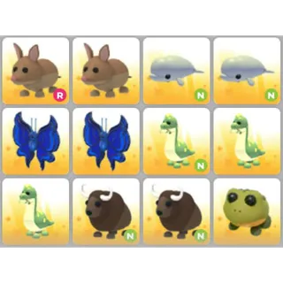 BUNDLE PET X12