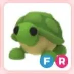 TURTLE FR