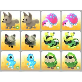 BUNDLE PET X12