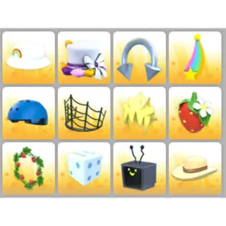 BUNDLE PET WEAR X12