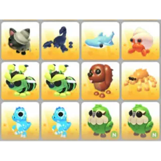 BUNDLE PET X12