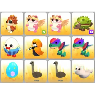 BUNDLE PET X12