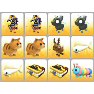 BUNDLE PET X12