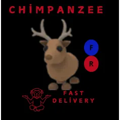 REINDEER FR