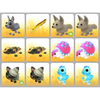 BUNDLE PET X12