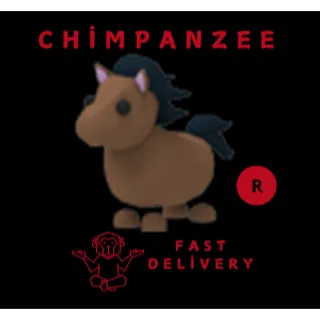 HORSE R
