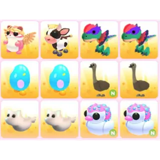 BUNDLE PET X12