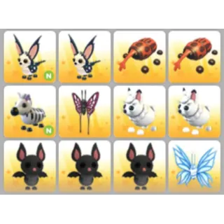 BUNDLE PET X12